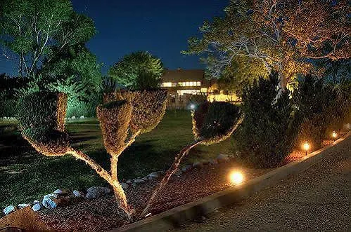 Bed and breakfast Desert Rose Cottonwood